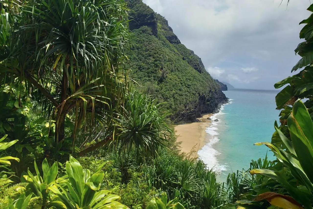 Puu Poa Apartment Princeville United States